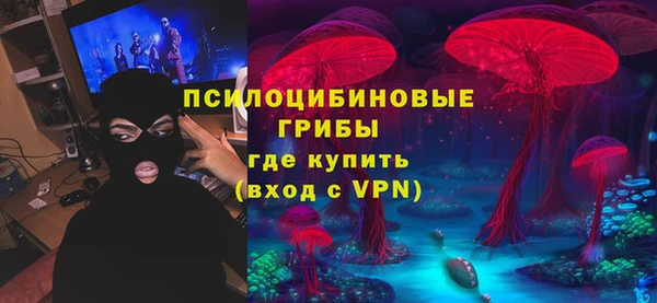 соль ск Балахна